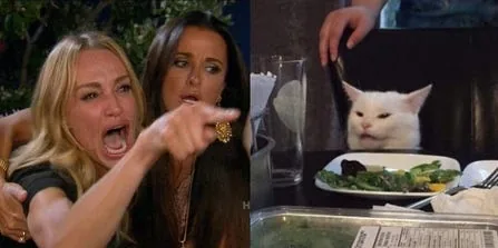 The woman yelling at a confused cat meme