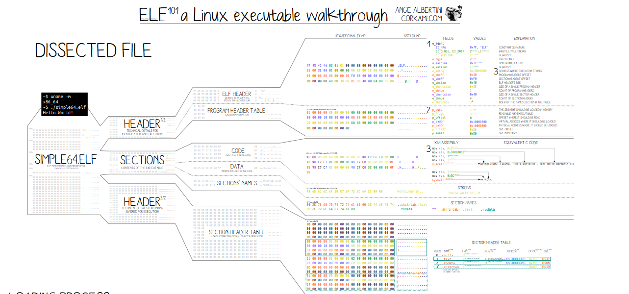 Ange Albertini's ELF101 poster, dissecting simple64.elf into its ELF header, program header table, sections and section header table