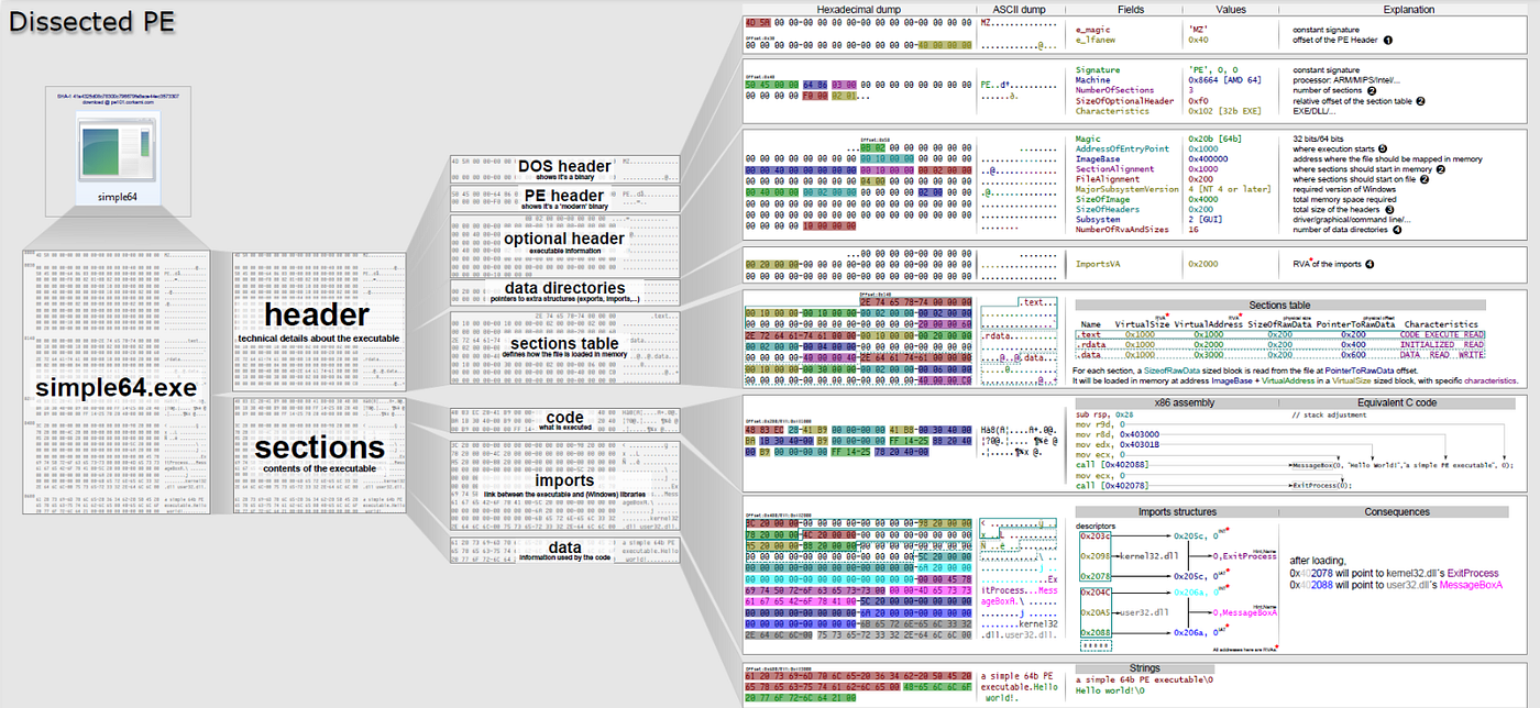 Ange Albertini's Dissected PE poster, mapping simple64.exe from its headers and sections down to the hex dump, the x86 assembly and the import structures