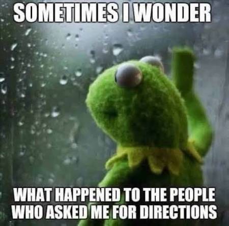 Kermit wondering what happened to the people who asked him for directions